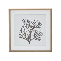 Hill Interiors Reef Coral Framed Print in Dark Brown