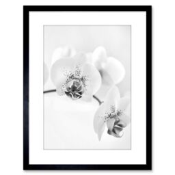 "Artery8 Wall Art Print Photo Nature Plant Orchid Flower Black White Artwork Framed 9X7 Inch - Size: W7"" x H9""" - thumbnail 1