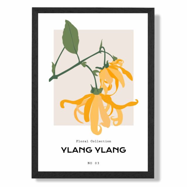 ARTZE Yellow Ylang Ylang Plant Flower Market Spring Framed Print SIZE: A4 with Black Frame - image 1