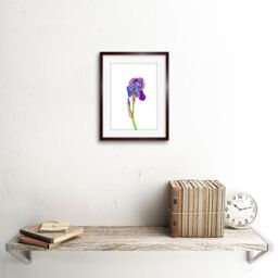 "Artery8 Wall Art Print Vintage Bright Botanicals Iris Framed in Brown - Size: W7"" x H9""" - thumbnail 2