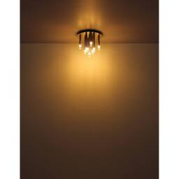 Netlighting Ryan Multi Arm Semi Flush Ceiling Lamp Nickel Matt 9x G9 in Grey - thumbnail 4