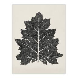 "Artery8 Black & White Leaf Drawing Owen Jones Vintage Wall Art Print Poster in Beige - Size: W12"" x H16""" - thumbnail 1