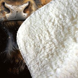 Warren Reed - Designer Bronze Splashart Highland Cow Sherpa Blanket - Size: Large - thumbnail 3