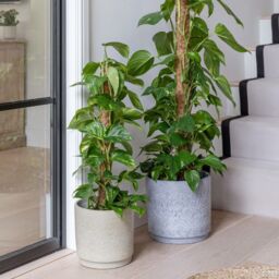 Ivyline Wesley Marble Blue Planter H22cm D26cm - thumbnail 5