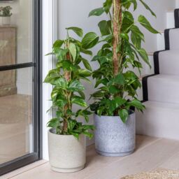 Ivyline Wesley Marble Blue Planter H22cm D26cm