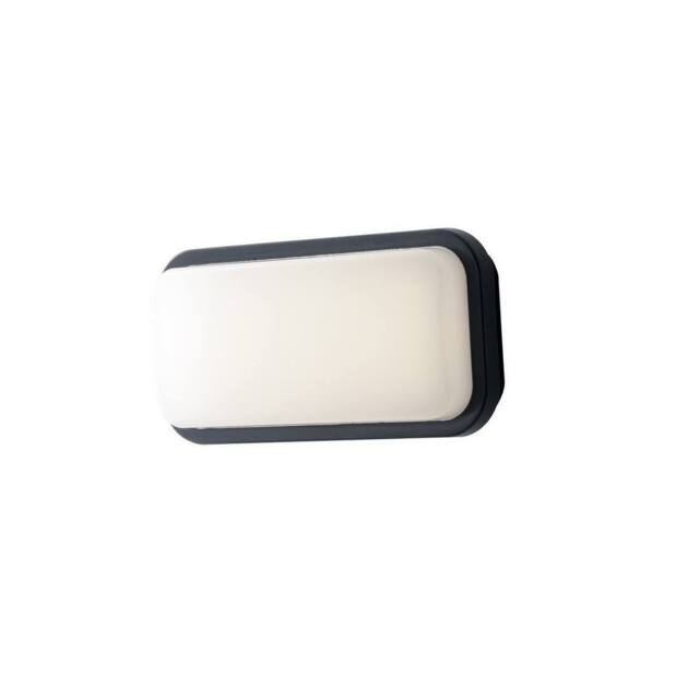 Netlighting SHELLY LED Outdoor Flush Anthracite IP65 1200lm 4000K 23.6x11.6x6.8cm in Black - Size: 23.6x11.6x6.8 cm - image 1