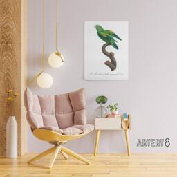 "Artery8 The Marigold Lorikeet Parrot Levaillant Canvas Wall Art Print in White - Size: W12"" x H16""" - thumbnail 3