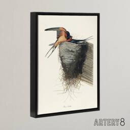 "Artery8 Birds of America Barn Swallow Audubon Nature Black Framed Canvas Art in White - Size: W12"" x H16""" - thumbnail 2