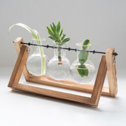 Menkind #Winning Propagation Vases Set With Chic Wooden Stand in Brown - thumbnail 3