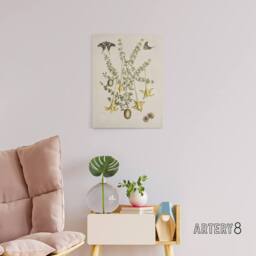 "Artery8 Frutex Spinofus Flowers & Butterflies Catesby Canvas Wall Art in Beige - Size: W18"" x H24""" - thumbnail 3