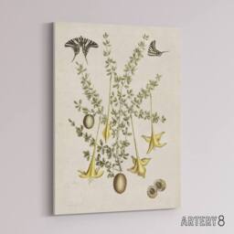"Artery8 Frutex Spinofus Flowers & Butterflies Catesby Canvas Wall Art in Beige - Size: W18"" x H24""" - thumbnail 2