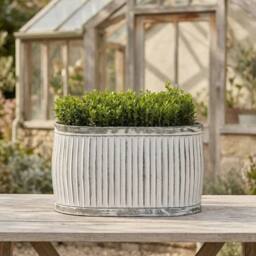 FLAVORA Large VINTAGE AGED RIBBED GALVANISED METAL TIN in White - Size: 100g - thumbnail 3