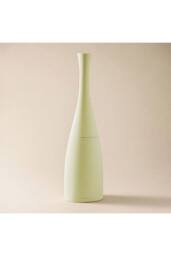 Cosmic Toilet brush & holder, Lime, Soft-finish coating, Saku Collection in Lime - thumbnail 2