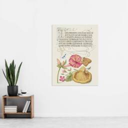 "Artery8 Flowers Mushroom & Butterfly Calligraphy Wall Art Poster Print in White - Size: W12"" x H16""" - thumbnail 4