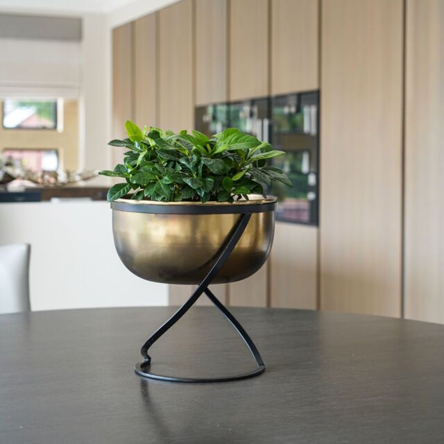 Ivyline Indoor Kensington Brass Metal Round Planter on Stand, H30cm W28cm in Metallics - image 1
