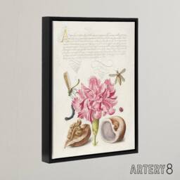 "Artery8 Carnation Walnut & Mollusk Calligraphy Framed Canvas Wall Art Print in White - Size: W12"" x H16""" - thumbnail 2
