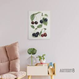 "Artery8 Vintage Illustration of Cherry Varieties Wright Canvas Wall Art Print in White - Size: W12"" x H16""" - thumbnail 3