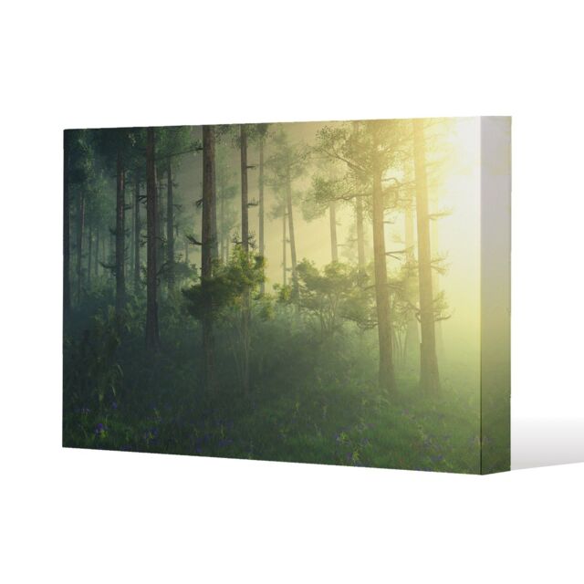 Benjamin Tate Design sun, trees in a haze of light, glowing fog among the trees (Canvas Print) / 61 x 41 x 4cm in Natural - Size: 61 x 41 x 4 cm - image 1