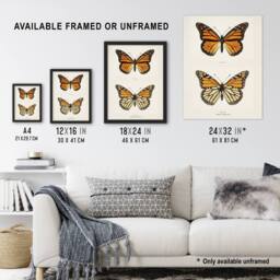 "Artery8 Monarch Butterfly Vintage Illustration Denton Wall Art Poster Print in White - Size: W12"" x H16""" - thumbnail 3