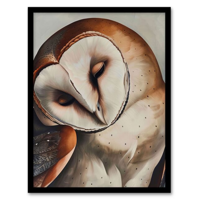 "Artery8 Peaceful Owl Portrait Calm Magical Bird Animal Framed Art Print in Brown - Size: W12"" x H16""" - image 1