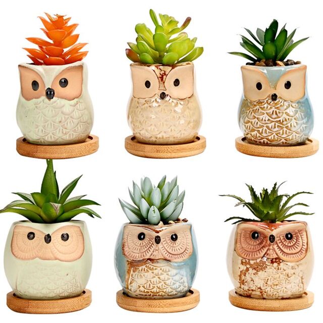 simpa 6PC Funky Owl Themed Ceramic Plant Pots with Bamboo Base - image 1