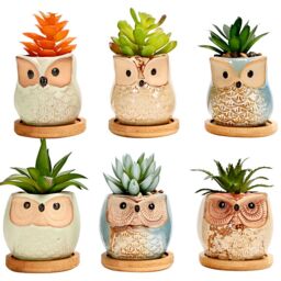 simpa 6PC Funky Owl Themed Ceramic Plant Pots with Bamboo Base - thumbnail 1