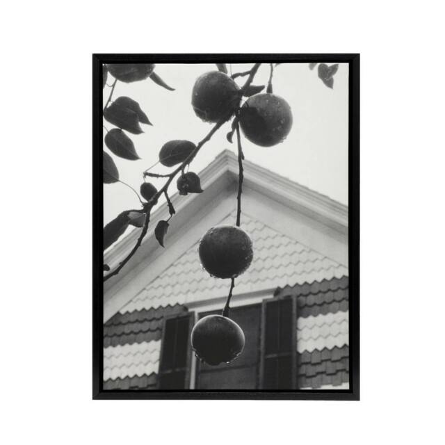 "Artery8 Gable & Apples Photograph Alfred Stieglitz Framed Canvas Wall Art in Grey - Size: W12"" x H16""" - image 1