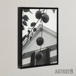 "Artery8 Gable & Apples Photograph Alfred Stieglitz Framed Canvas Wall Art in Grey - Size: W12"" x H16""" - thumbnail 2