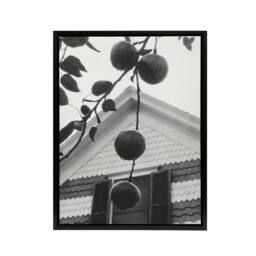 "Artery8 Gable & Apples Photograph Alfred Stieglitz Framed Canvas Wall Art in Grey - Size: W12"" x H16""" - thumbnail 1