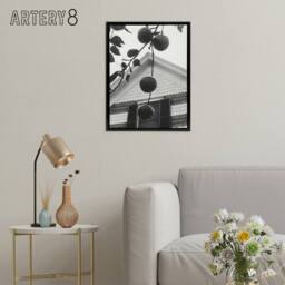 "Artery8 Gable & Apples Photograph Alfred Stieglitz Framed Canvas Wall Art in Grey - Size: W12"" x H16""" - thumbnail 3