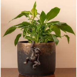 Jardinopia Chimpanzee Plant Pot Hanger - L11.5 x W7 x H4.5 cm in Bronze - thumbnail 3
