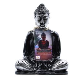 KDMD Black & Grey Buddha - Medium - thumbnail 2