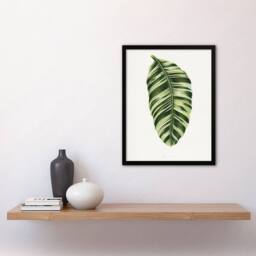 Artery8 AF Lydon Benjamin Fawcett Musa Paradisiaca Vittata Framed Art Print in White - Size: A4 - thumbnail 4