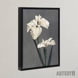 "Artery8 White Water Iris Flowers Framed Canvas Wall Art Print Ogawa Kazumasa in Grey - Size: W24"" x H32""" - thumbnail 2