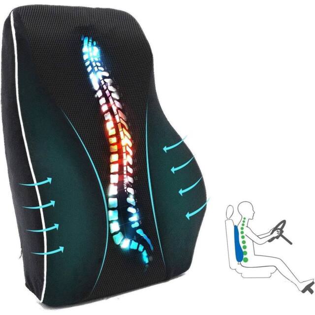 SPETLEK Lumbar Back Support Cushion in Black - image 1