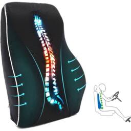 SPETLEK Lumbar Back Support Cushion in Black - thumbnail 1
