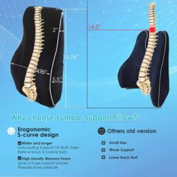 SPETLEK Lumbar Back Support Cushion in Black - thumbnail 4