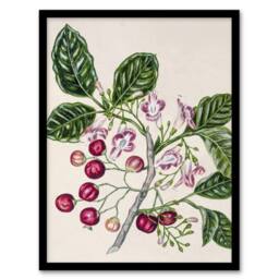 "Artery8 New Zealand Puriri Vitex Lucens Flowers Featon Framed Wall Art Print in Beige - Size: W12"" x H16""" - thumbnail 1