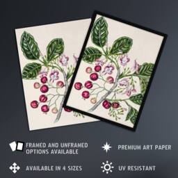 "Artery8 New Zealand Puriri Vitex Lucens Flowers Featon Framed Wall Art Print in Beige - Size: W12"" x H16""" - thumbnail 2