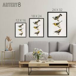 "Artery8 James Ellsworth De Kay Trio of Warbler Birds Framed Canvas Art Print in White - Size: W12"" x H16""" - thumbnail 4