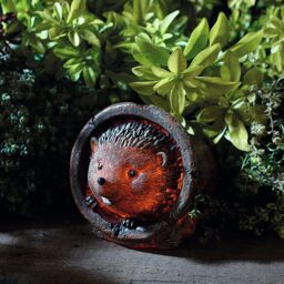 mysmartbuy Hedgehog Design Solar Light - Outdoor Patio or Decking Garden Ornament Decoration - 11cm x 11cm x 14.5cm - Size: 11 cm x 11 cm x 14.5 cm - thumbnail 2