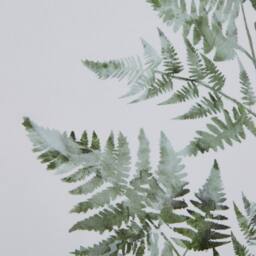 KDMD Watercolour Bracken Fern In Washed Wood Frame in Brown - thumbnail 3