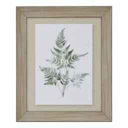 KDMD Watercolour Bracken Fern In Washed Wood Frame in Brown - thumbnail 1