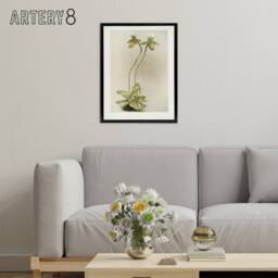 "Artery8 F Sander Cypripedium Lawrenceanum Hyeanum Orchid Framed Canvas Art - Size: W12"" x H16""" - thumbnail 3