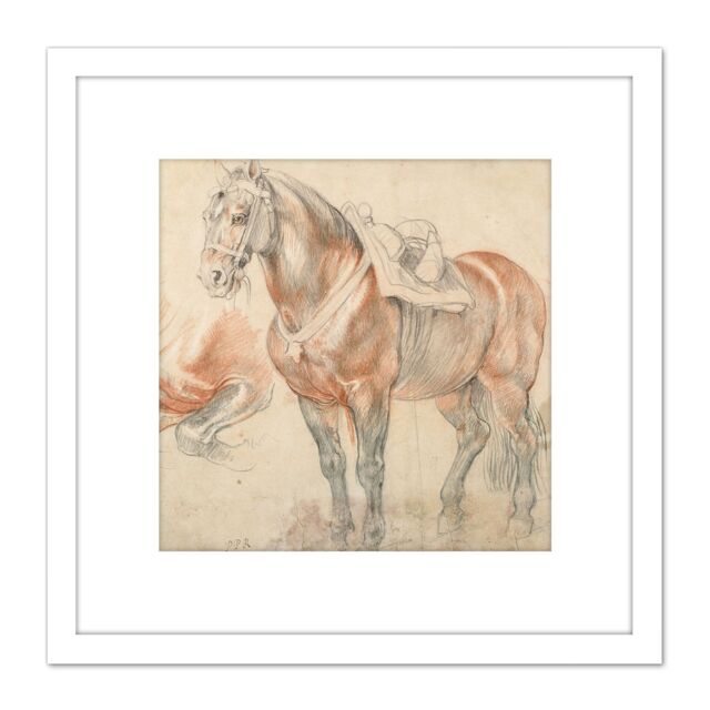 Artery8 Rubens Saddled Horse Painting 8X8 Inch Square Wooden Framed Wall Art Print Picture with Mount in White - image 1