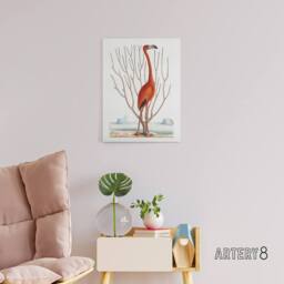 "Artery8 Flamingo Bird Vintage Illustration Catesby Canvas Wall Art in White - Size: W18"" x H24""" - thumbnail 3