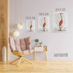 "Artery8 Flamingo Bird Vintage Illustration Catesby Canvas Wall Art in White - Size: W18"" x H24""" - thumbnail 4