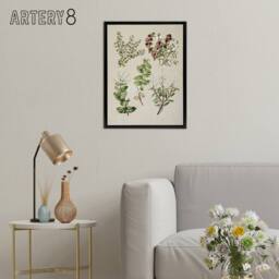 "Artery8 New Zealand Gaultheria Flowering Plant Featon Framed Canvas Wall Art in Beige - Size: W12"" x H16""" - thumbnail 3