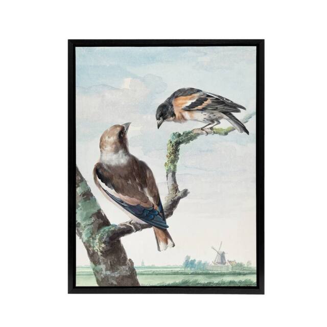 "Artery8 Two Hawfinch Birds in Rural Landscape Schouman Framed Canvas Wall Art in Blue - Size: W12"" x H16""" - image 1