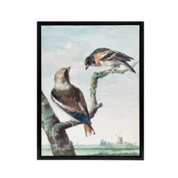 "Artery8 Two Hawfinch Birds in Rural Landscape Schouman Framed Canvas Wall Art in Blue - Size: W12"" x H16""" - thumbnail 1